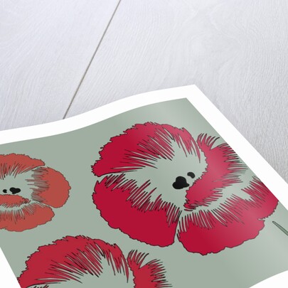 Picnic Poppy, 2005 by Sarah Hough