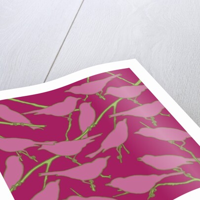 Paradiso, 2008 by Sarah Hough