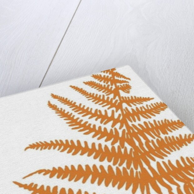 Brecon, 2009 by Sarah Hough