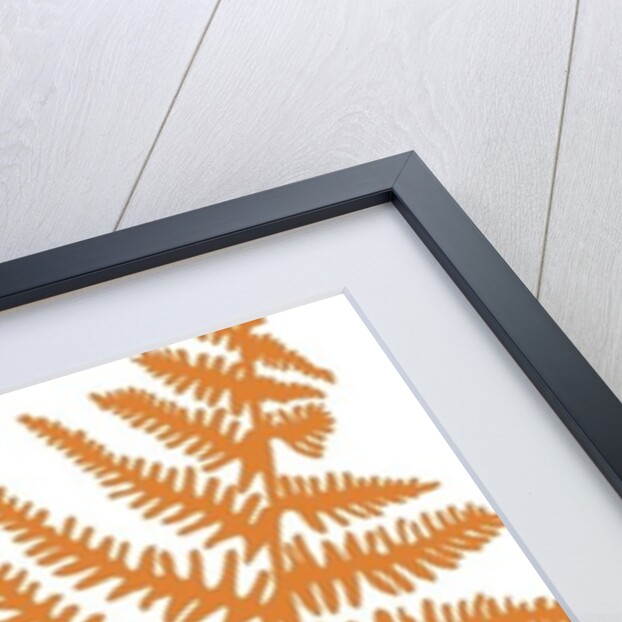 Brecon, 2009 by Sarah Hough