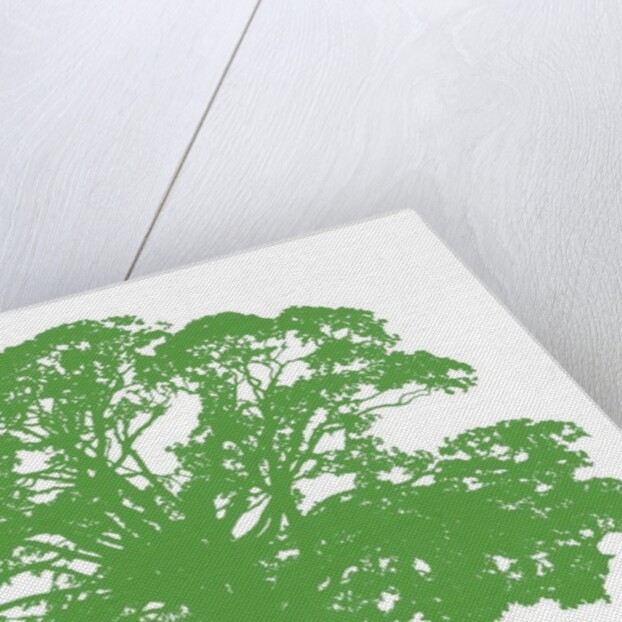 Climbing Tree, 2009 by Sarah Hough