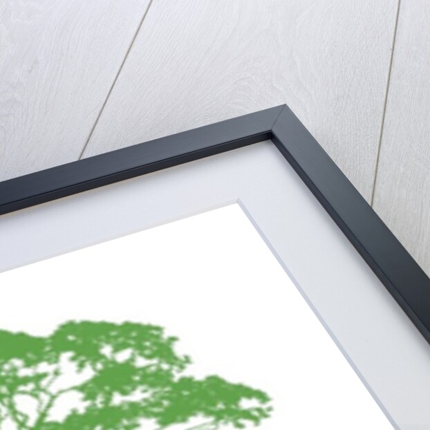 Climbing Tree, 2009 by Sarah Hough