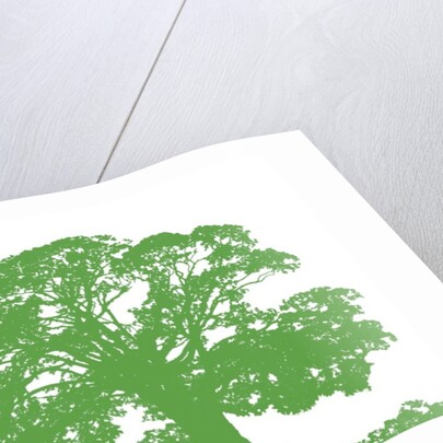 Climbing Tree, 2009 by Sarah Hough