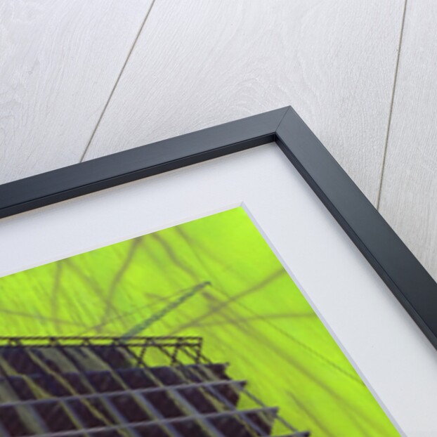 Work in Progress 11, 2015 by Luke M Walker