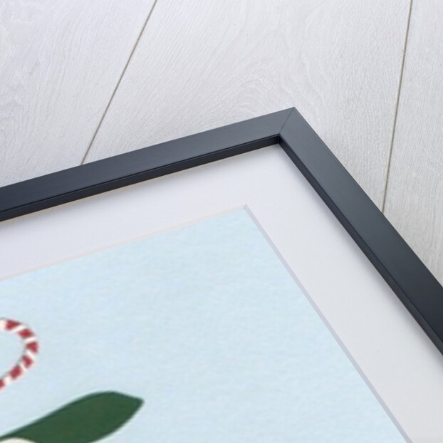 Mistletoe, 2014 by Isobel Barber