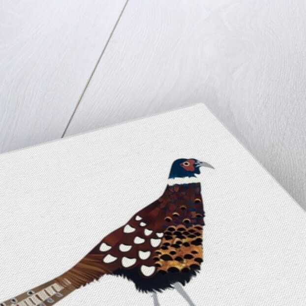 Pheasant, 2013 by Isobel Barber