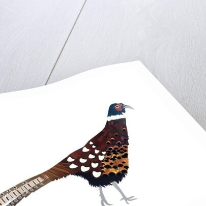Pheasant, 2013 by Isobel Barber