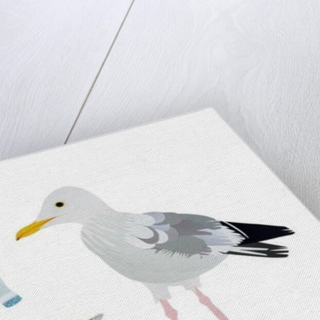 Seagulls, 2014 by Isobel Barber