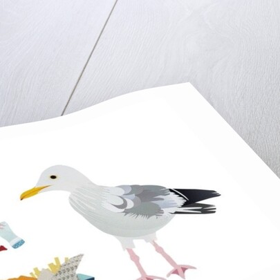 Seagulls, 2014 by Isobel Barber