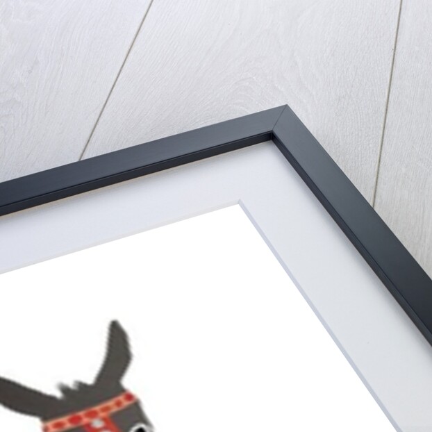 Donkeys, 2014 by Isobel Barber