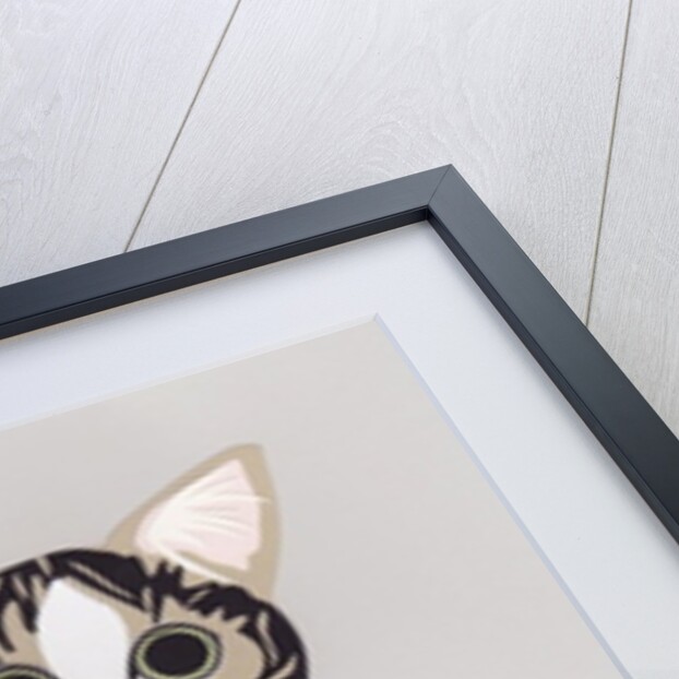 Pussycat, 2016 by Isobel Barber