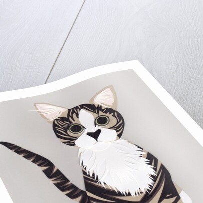 Pussycat, 2016 by Isobel Barber