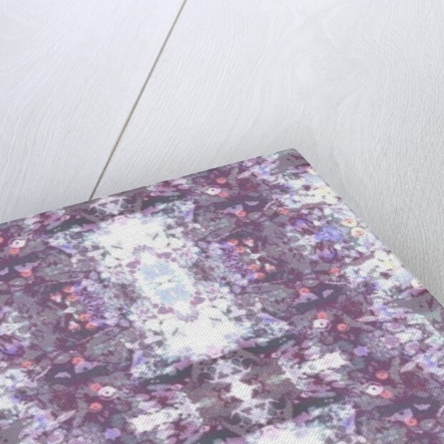 Vito, 2015 by Beth Travers