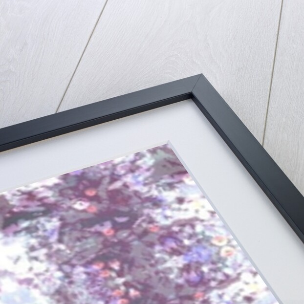 Vito, 2015 by Beth Travers