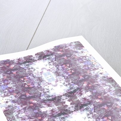 Vito, 2015 by Beth Travers