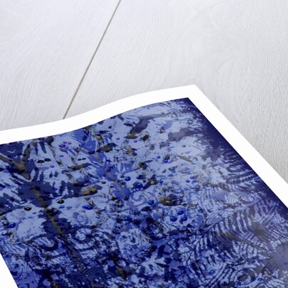 Aries, 2014 by Beth Travers