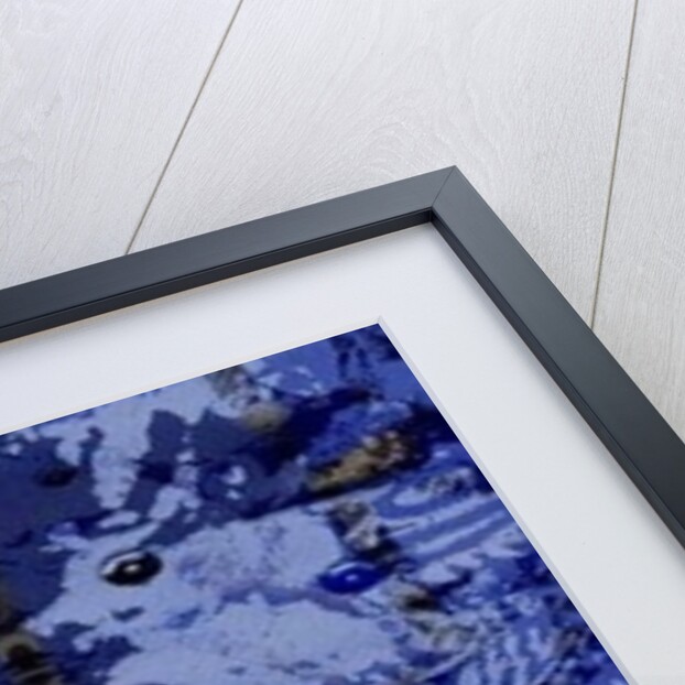 Aries by Beth Travers