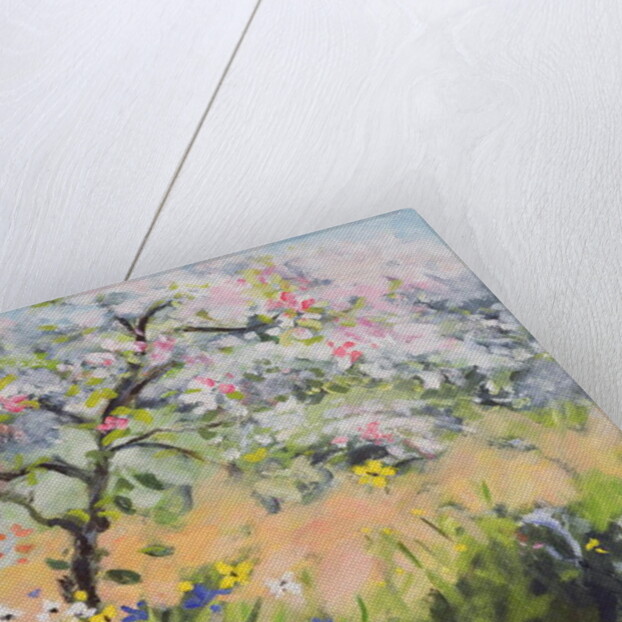 Spring Blossom by Anne Durham