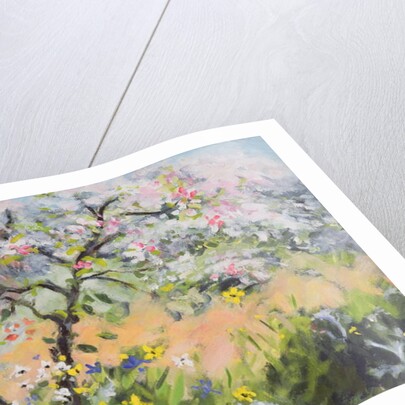 Spring Blossom by Anne Durham