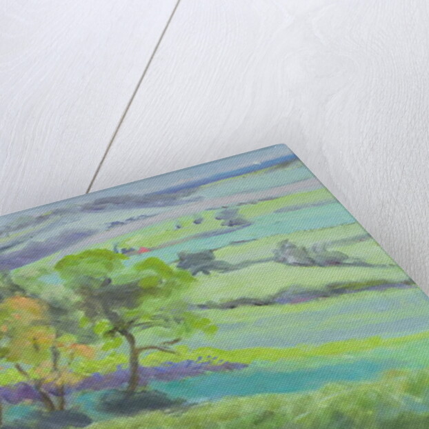 Towards Winchelsea, Sussex, with Bluebells in Spring by Anne Durham