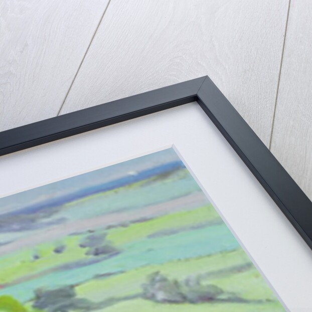 Towards Winchelsea, Sussex, with Bluebells in Spring by Anne Durham