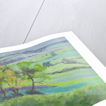 Towards Winchelsea, Sussex, with Bluebells in Spring by Anne Durham