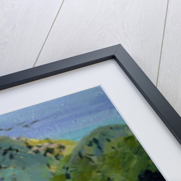 View of Aberdeen from the Peak, Hong Kong by Anne Durham