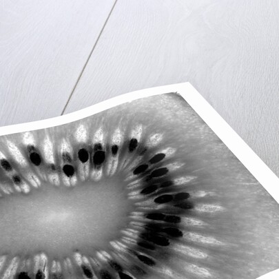 Kiwi, 2009 by Anonymous