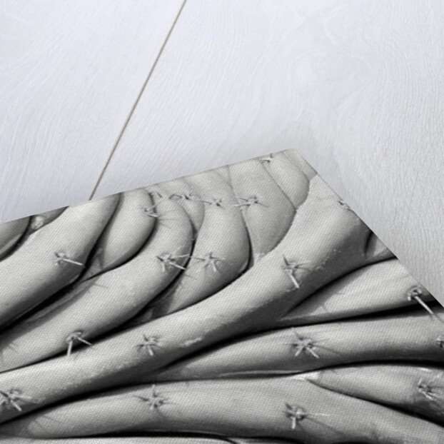 Succulent 2, 2015 by Anonymous