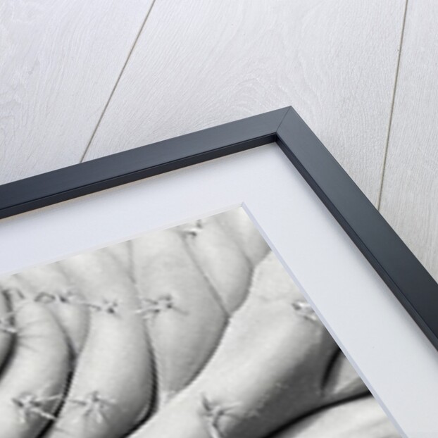 Succulent 2, 2015 by Anonymous