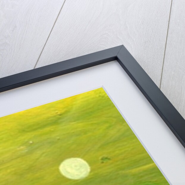 I Had Everything I Needed, 2003 by Gigi Sudbury