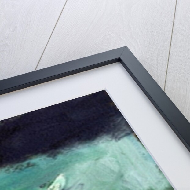 Rhinoceros, 2002 by Gigi Sudbury