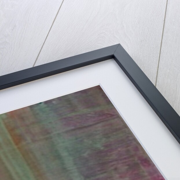 Zebra, 2005 by Gigi Sudbury