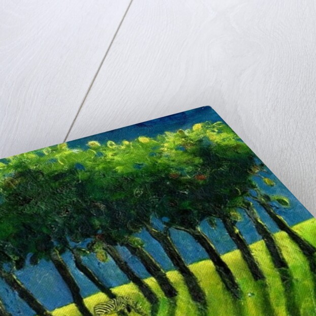 Zebra Trees, 2005 by Gigi Sudbury