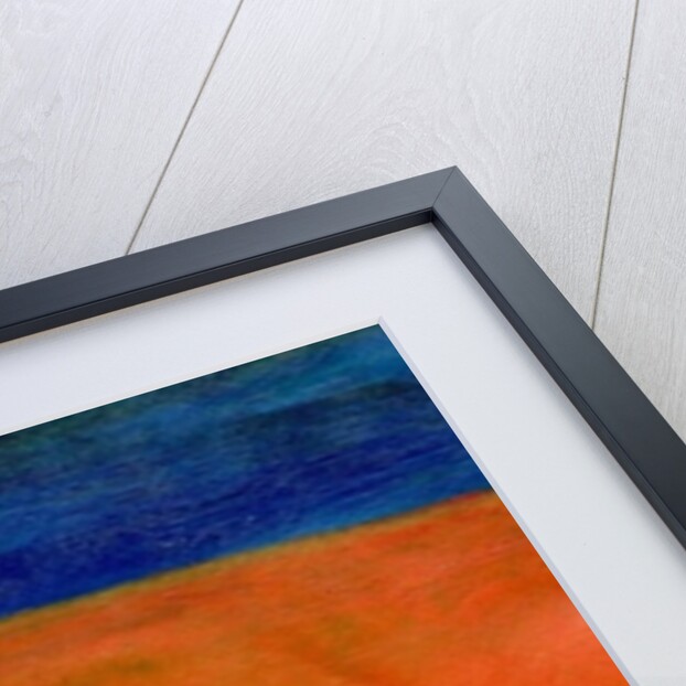 Oystercatcher, 2005 by Gigi Sudbury