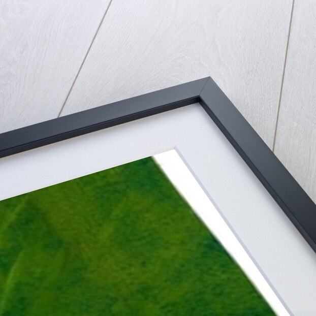 The Last One, 2005 by Gigi Sudbury