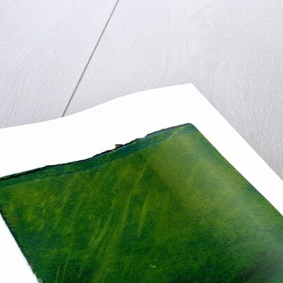 The Last One, 2005 by Gigi Sudbury