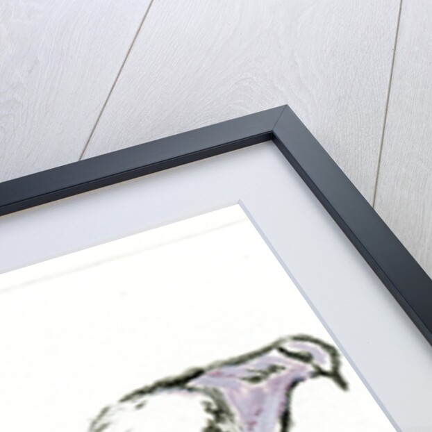 Homecoming II, 2017 by Gigi Sudbury