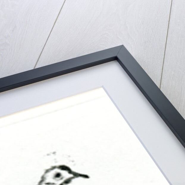 Homecoming III, 2017 by Gigi Sudbury