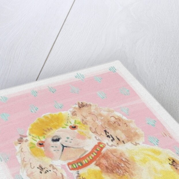 Spaniel, 2014 by Jo Chambers