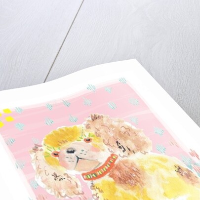 Spaniel, 2014 by Jo Chambers