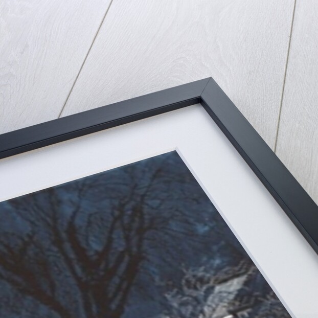 Sound of music in suburbia, 2012 by Catherine Sutcliffe-Fuller