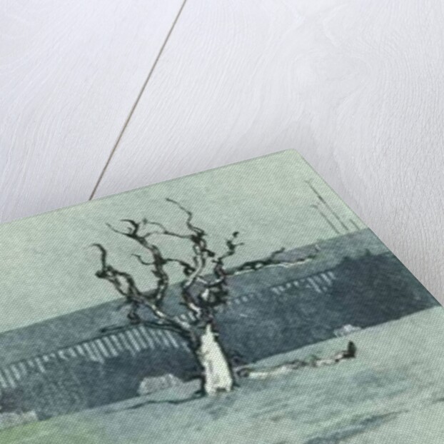 Facing new growth, 2016 by Catherine Sutcliffe-Fuller