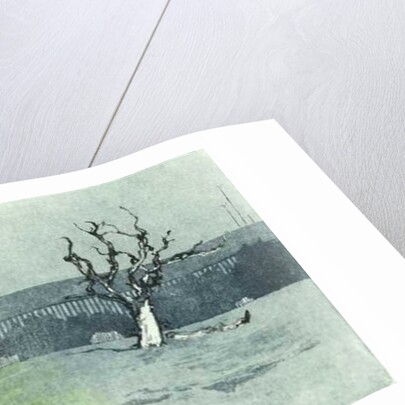 Facing new growth, 2016 by Catherine Sutcliffe-Fuller