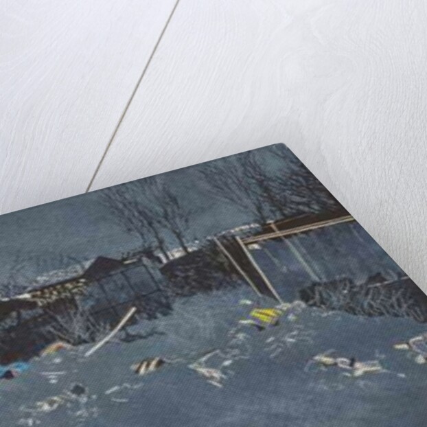 Wide expanse with 300 newts, 2014 by Catherine Sutcliffe-Fuller