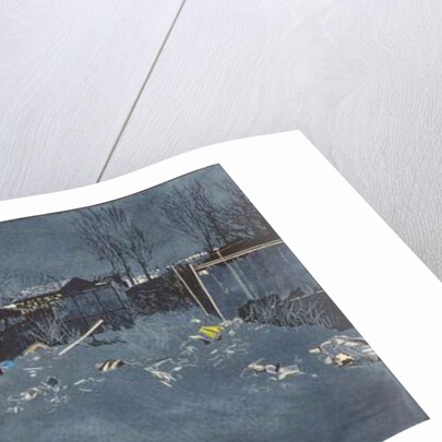 Wide expanse with 300 newts, 2014 by Catherine Sutcliffe-Fuller