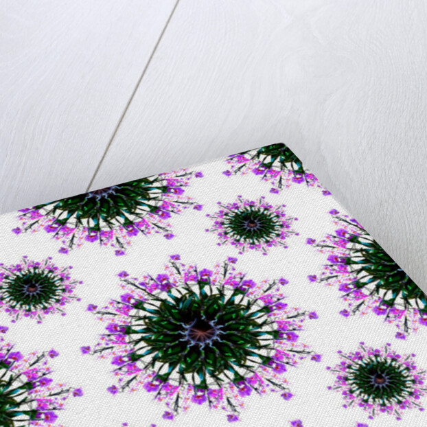 Orchid World, 2015 by Robyn Parker