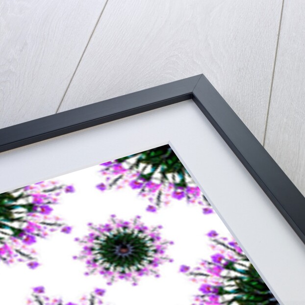 Orchid World, 2015 by Robyn Parker