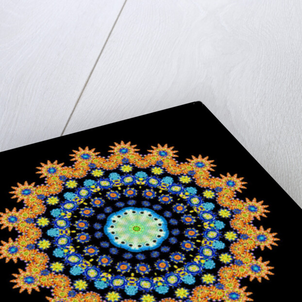 Tropical Fish Wheel 2, 2016 by Robyn Parker