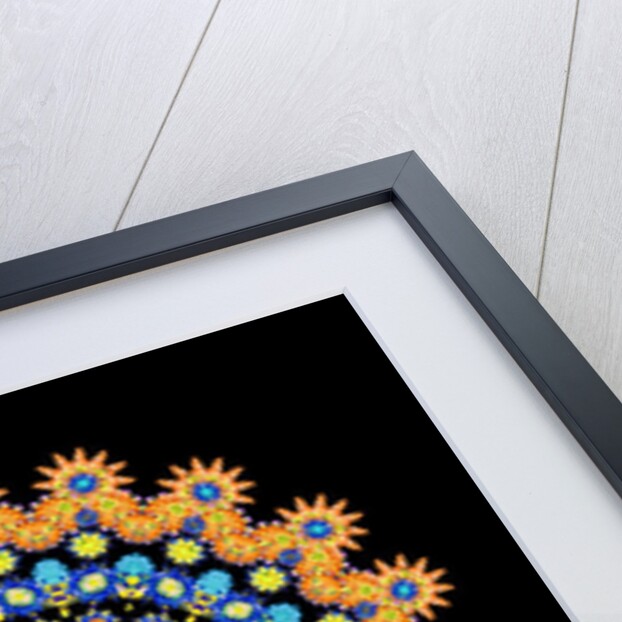 Tropical Fish Wheel 2, 2016 by Robyn Parker